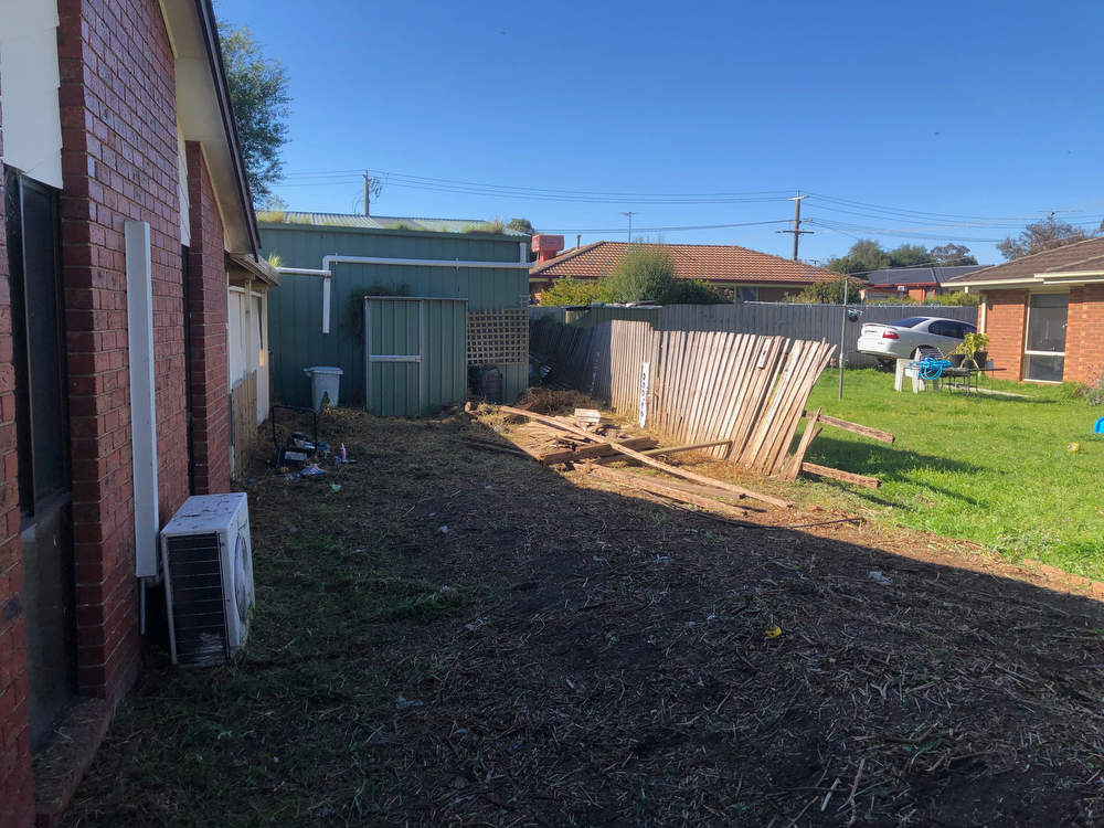 AFTER - Backyard cleared of blackberries.