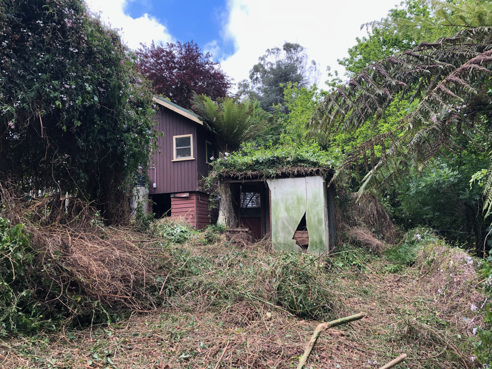 AFTER - Removing over an acre of blackberries re-restablished access to large parts of this owner’s property and revealed several, almost forgotten structures including this previously invisible garden shed.