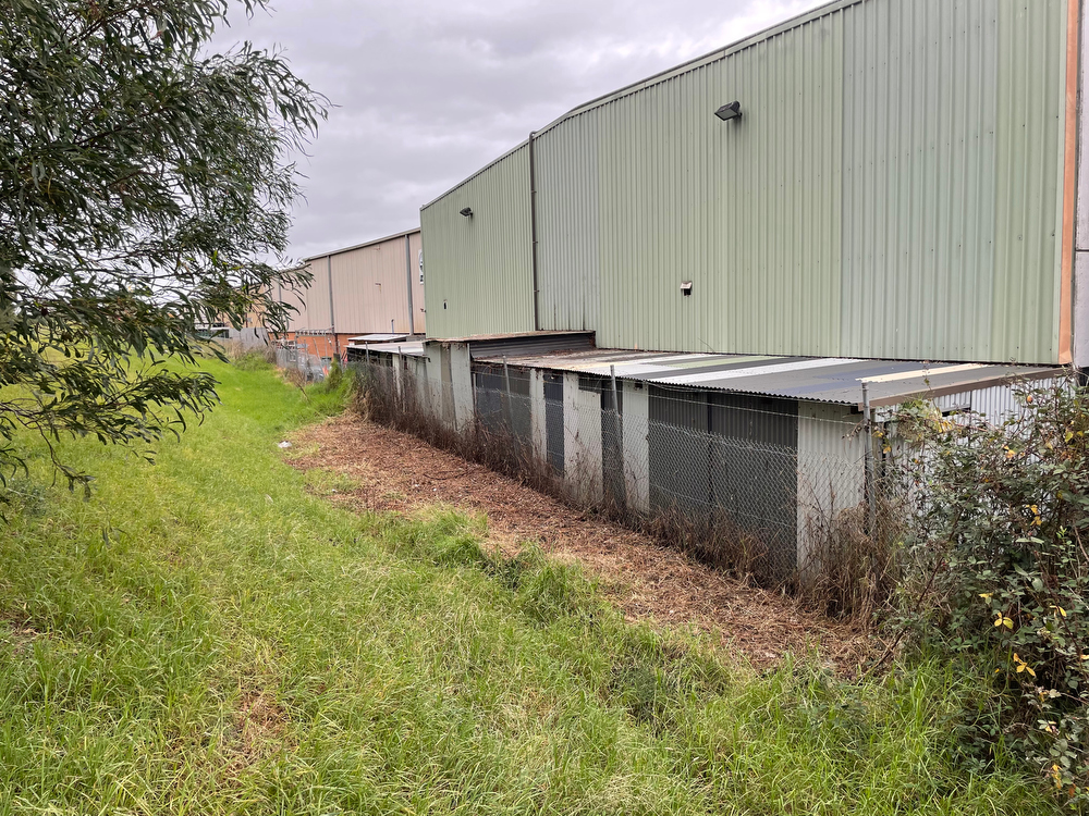 AFTER - Back of building and fence cleared of blackberry. Plant debris was removed from site in rubbish skip.