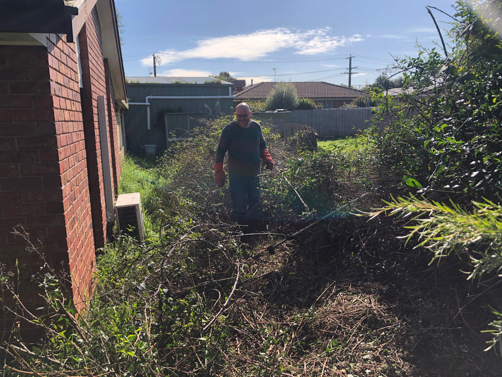 DURING - Carrum Downs, VIC. Blackberries covering a fence and inter-grown with debris and other vegetation along a property line on a suburban lot.