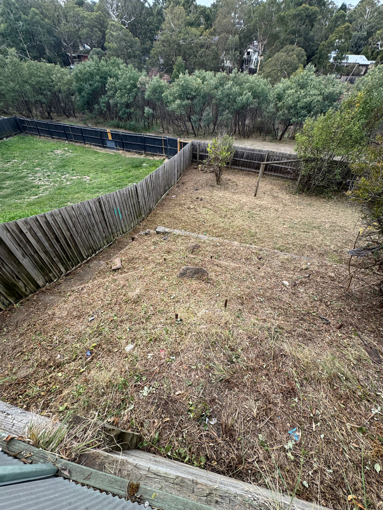 AFTER - Removing over an acre of blackberries re-restablished access to large parts of this owner’s property and revealed several, almost forgotten structures including this previously invisible garden shed.
