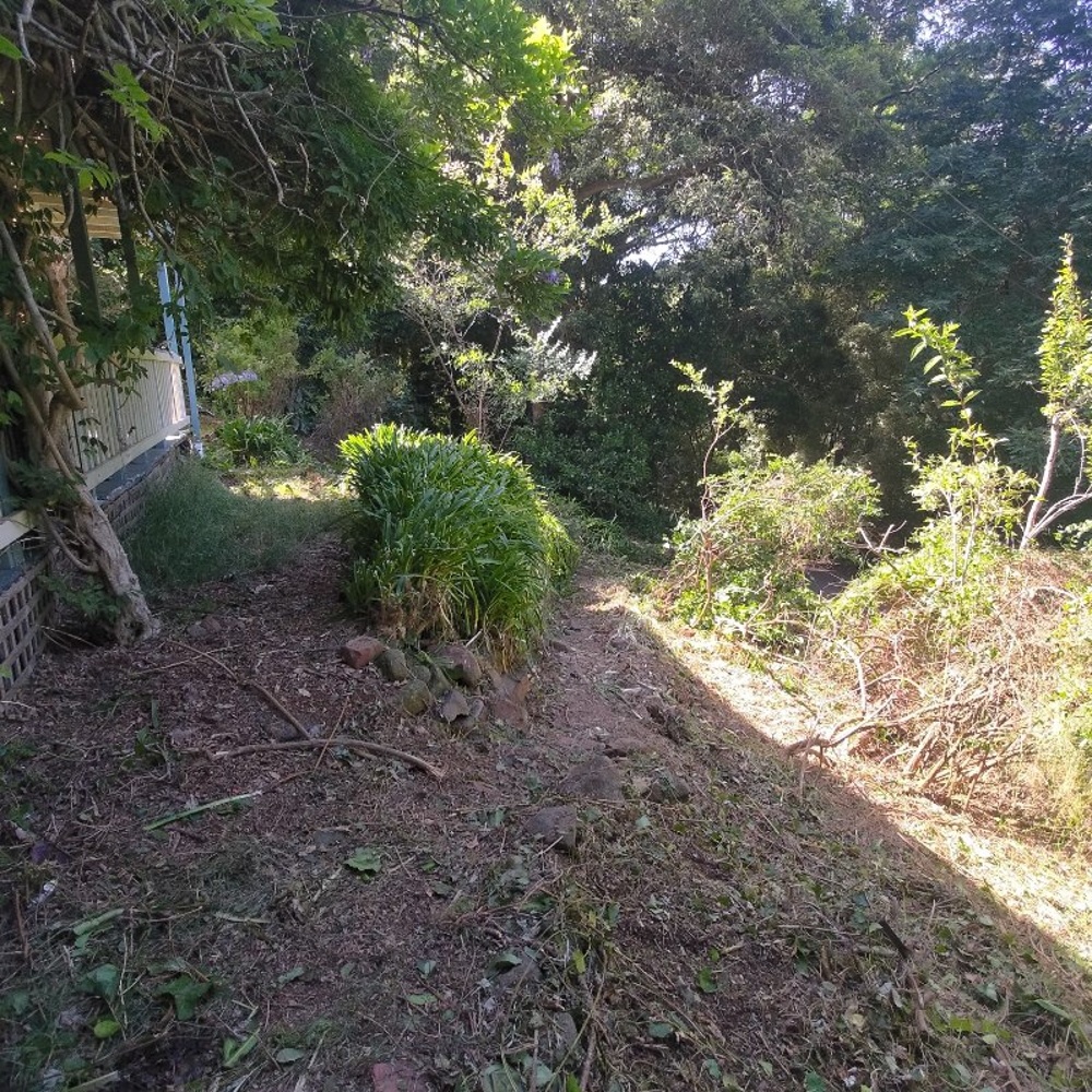 AFTER - Back porch and backyard cleared of blackberry and ready for renovations and gardening.