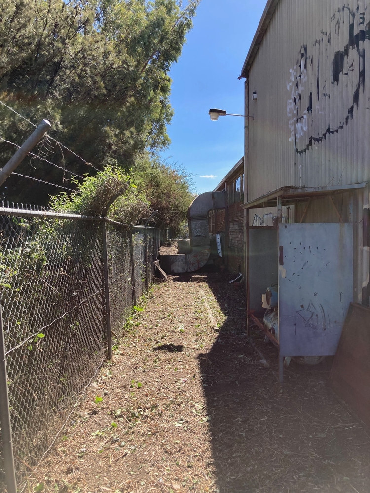 AFTER - Site cleared and plant and other debris removed. This job was done under contract with Ladworks Landscaping. 