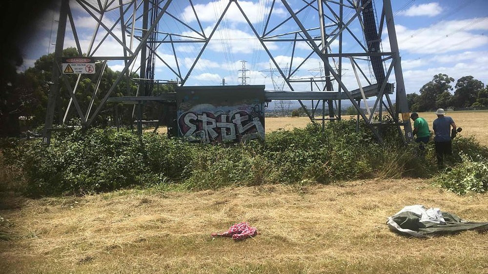 BEFORE - Lilydale, VIC. Blackberry bushes growing at the base of a power pylon, intertwined with it and surrounding a utility building.