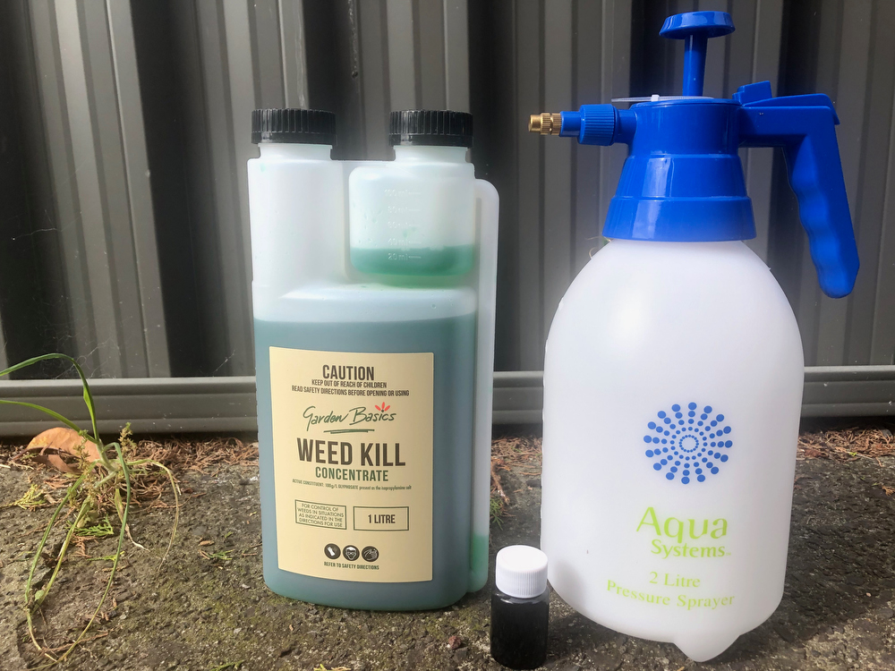 Weed killer dye and sprayer provided to Blackberry Removal clients with instructions on how to kill root systems and eradicate the noxious weed