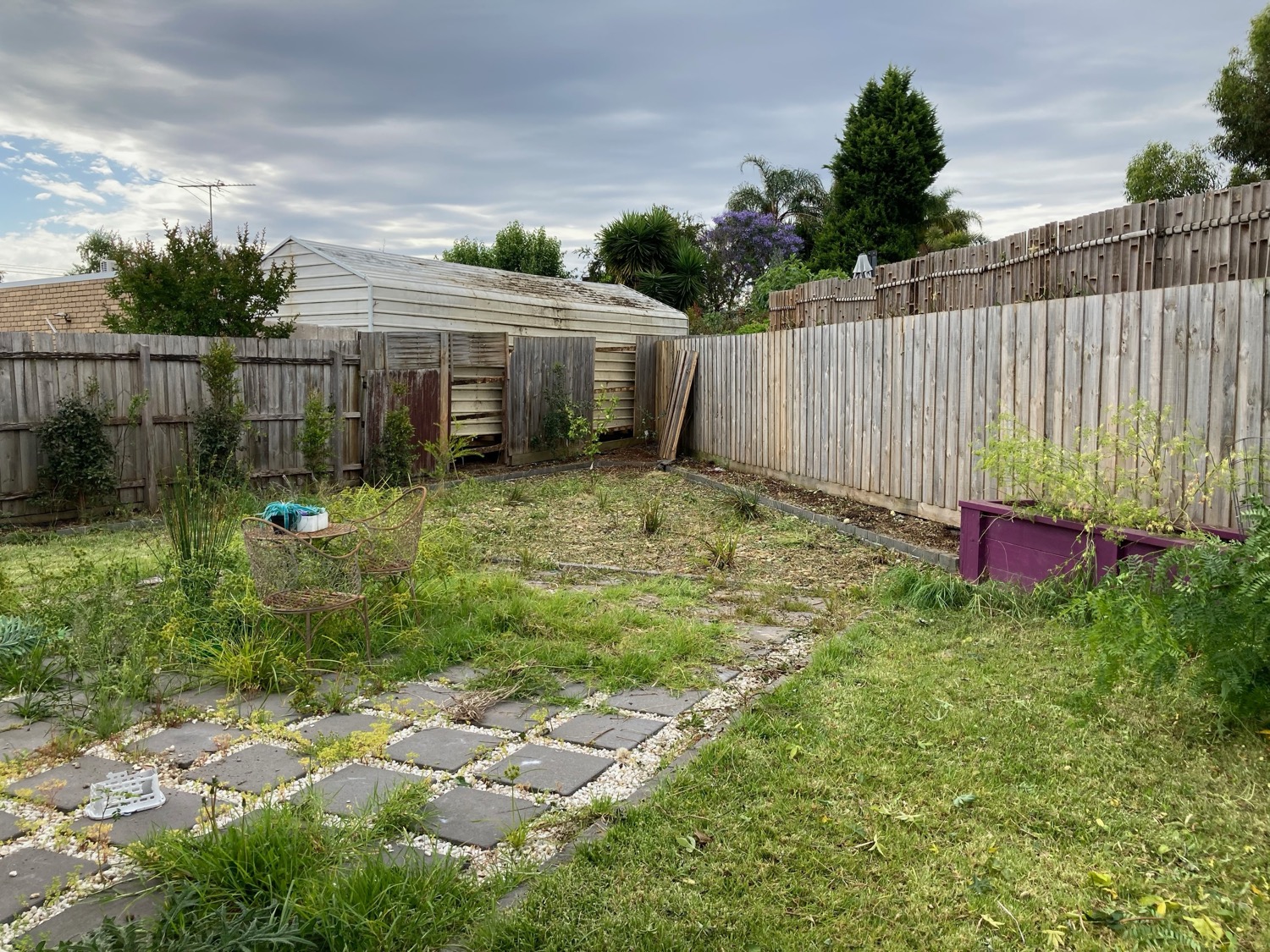 AFTER - &nbsp;Fences, garden beds, ornamentals and a garden shed revealed. This job was coordinated with 3 property owners.