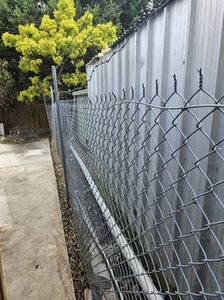 blackberry infestation hiding a house and garden