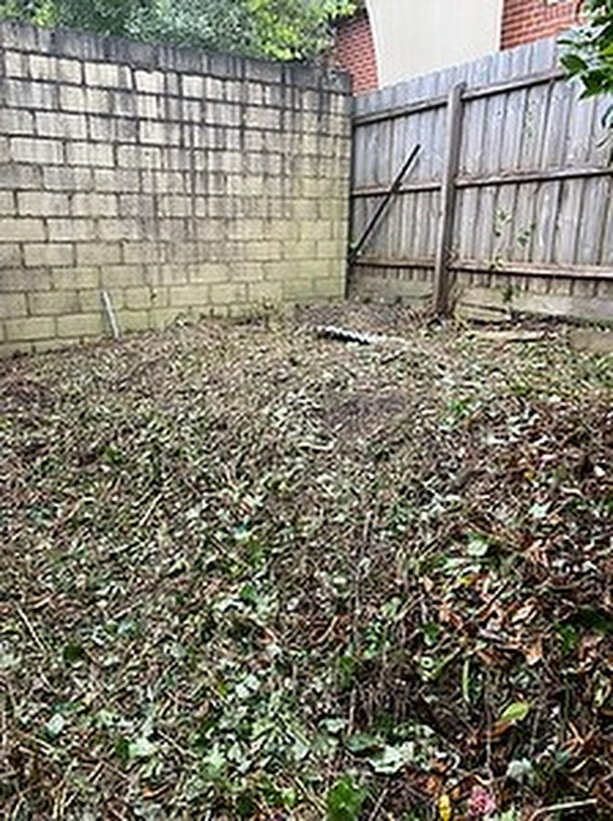 Blackberry Removal from back yard showing cleared cinder block wall and fence