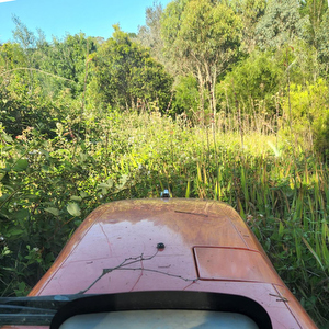 View from tractor of Blackberry Removal on broadacre in Donvale VIC