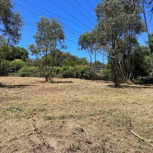 broadacre cleared of blackberry in Donvale VIC