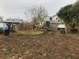 Excavator clearing blackberry and bamboo from a residential lot